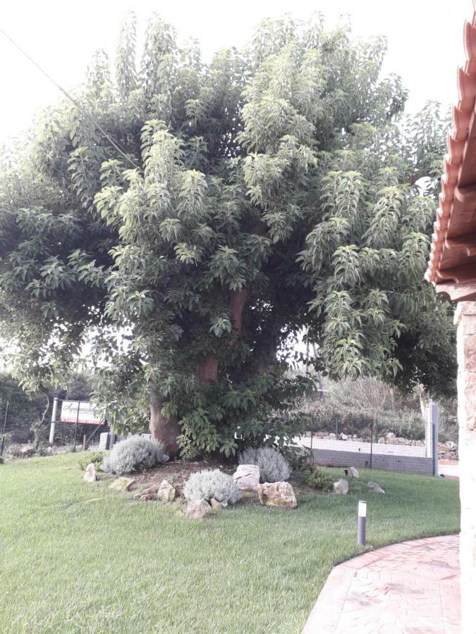 Agriturismo Quattro Mori Porto Torres Zewnętrze zdjęcie